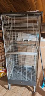 Kooi-Hok-Volière!!, Ophalen, Zo goed als nieuw, Hok, Minder dan 60 cm