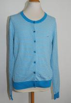 nieuw Sun68 vest maat ongeveer S - M, Maat 38/40 (M), Blauw, Ophalen of Verzenden, Zo goed als nieuw