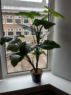 Kunstplant, Huis en Inrichting, Kamerplanten, Ophalen, Halfschaduw, Minder dan 100 cm