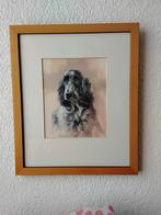 Engelse Cocker Spaniel, Ophalen