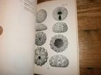 british mesozoic fossils veel afbeeldingen mooi boek, Ophalen of Verzenden, Fossiel
