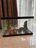 Aquarium met alle toe behorende spullen, Dieren en Toebehoren, Vissen | Aquaria en Toebehoren, Ophalen of Verzenden, Gebruikt