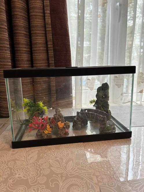 Aquarium met alle toe behorende spullen, Dieren en Toebehoren, Vissen | Aquaria en Toebehoren, Gebruikt, Leeg aquarium, Ophalen of Verzenden