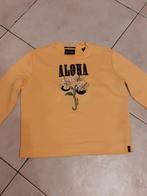 Maison Scotch trui maat S, Maat 38/40 (M), Geel, Zo goed als nieuw, Maison Scotch