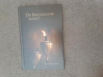 G. Hoogerland - De bruidegom komt! beschikbaar voor biedingen