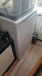 Proline koelkast, Minder dan 75 liter, Ophalen of Verzenden, Zo goed als nieuw, Met vriesvak