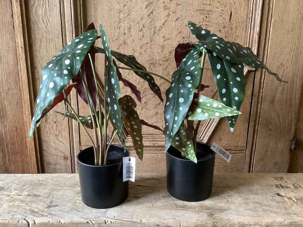 NIEUW set van 2 polkadot stippenplant kunstplant, Ophalen of Verzenden, Nieuw