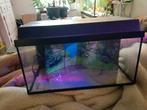 60 centimeter aquarium, Dieren en Toebehoren, Vissen | Aquaria en Toebehoren, Ophalen