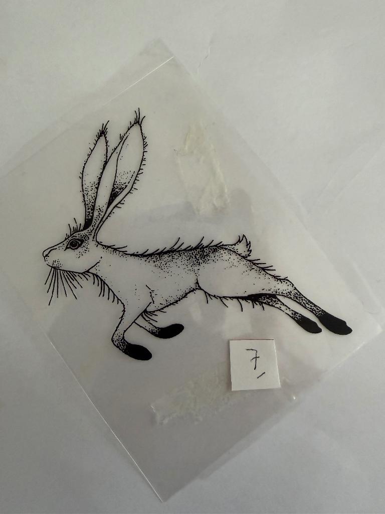 Clear stempels Lavinia afbeelding, Hobby en Vrije tijd, Stempelen, Verzenden, Zo goed als nieuw, Clearstamp