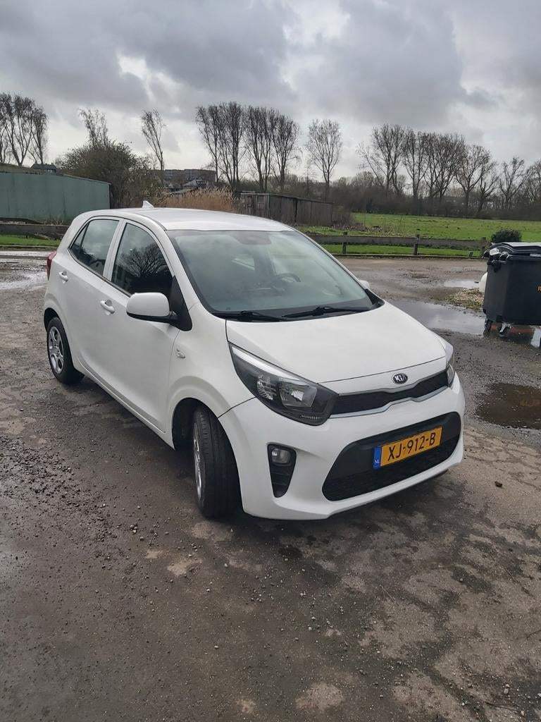 Kia Picanto 1.0 Cvvt  5-zits 2019 Airco/navigatie/cruise, Auto's, Kia, Voorwielaandrijving, Start-stop-systeem, Euro 6, Wit