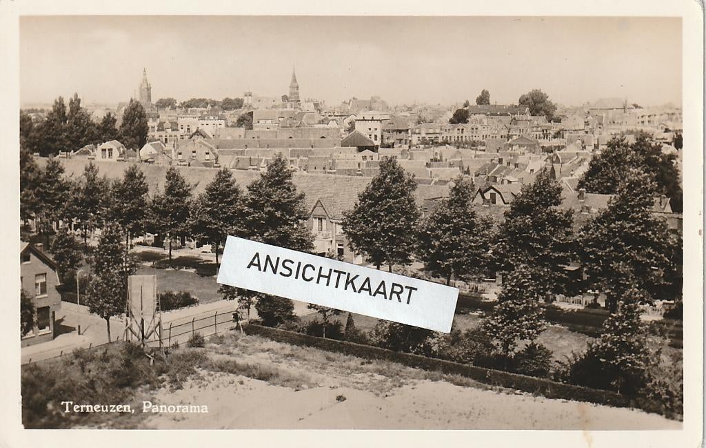 Ansichtkaart Terneuzen - Panorama - 1958, Verzamelen, Ansichtkaarten | Nederland, Verzenden, 1940 tot 1960, Ongelopen, Zeeland