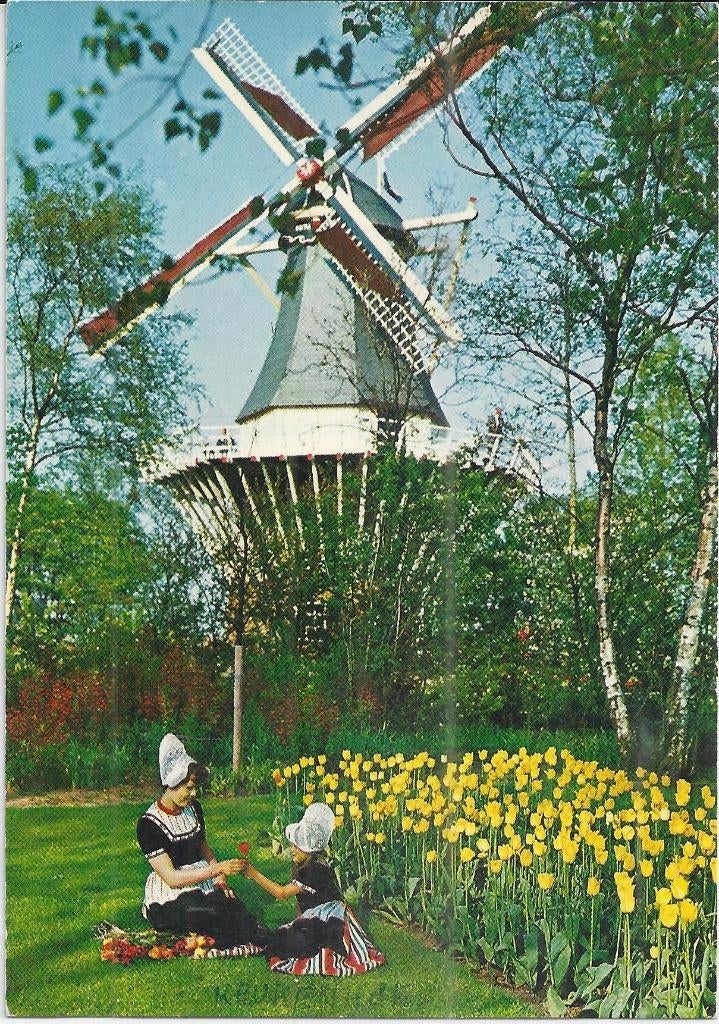 Sus439 Gelopen ansichtkaart Holland, Ophalen of Verzenden, 1980 tot heden, Gelopen, Noord-Holland