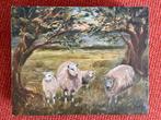 Olieverfschilderij: Schapen in het bos, Ophalen of Verzenden