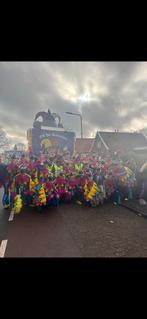 Carnaval loopgroep pappegaaien/jungle. PRIJSPAKKER!!, Ophalen of Verzenden, Gebruikt, 170 of groter, Jongen of Meisje