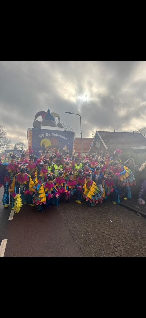 Carnaval loopgroep pappegaaien/jungle. PRIJSPAKKER!!, Kinderen en Baby's, Carnavalskleding en Verkleedspullen, Gebruikt, Jongen of Meisje