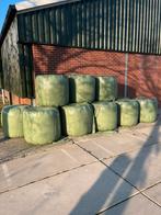 Midi balen, Ophalen of Verzenden, Vee