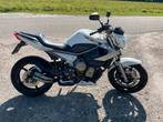 Yamaha XJ6 - Nette staat, lage kilometerstand, Motoren, Motoren | Yamaha, 4 cilinders, Particulier, Meer dan 35 kW, Minimaal motorrijbewijs A2