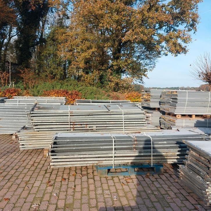 Hokafscheiding, Dieren en Toebehoren, Schapen, Geiten en Varkens, Schaap, Meerdere dieren