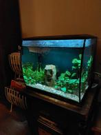 Fluval Aquarium, Ophalen, Leeg aquarium