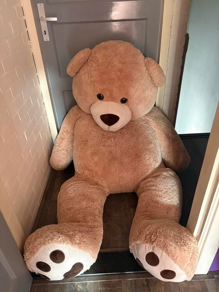 Grote knuffelbeer, Ophalen, Zo goed als nieuw, Beer