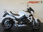 Suzuki GSX 1300 B KING SPECIAL! BODIS (bj 2008), Motoren, 1340 cc, Bedrijf, Naked bike