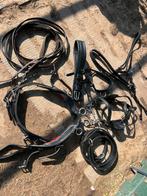 Enkelspan tuig maat shetlander en bitten, Ophalen of Verzenden, Zo goed als nieuw, Overige soorten