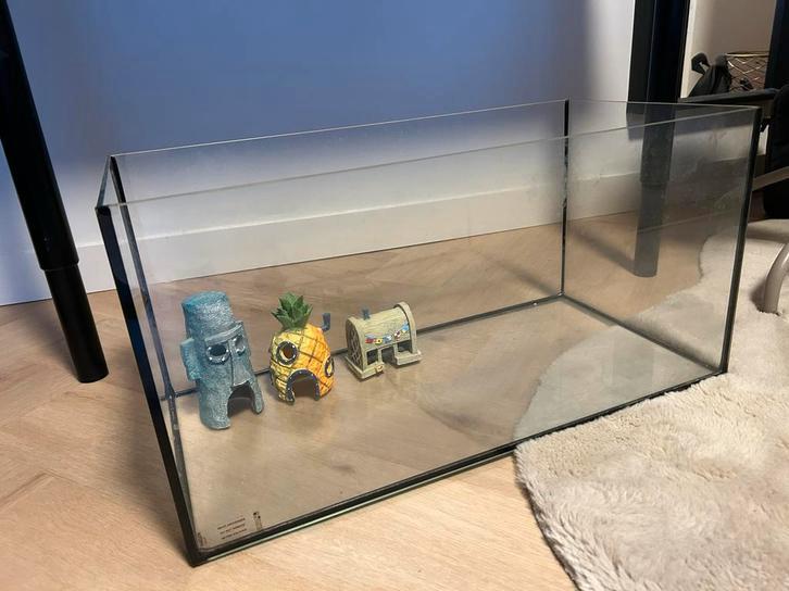 Complete schildpadden set te koop – zo goed als nieuw!, Ophalen of Verzenden, Nieuw