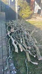 Takken van kronkel wilg, Minder dan 3 m³, Ophalen, Takken