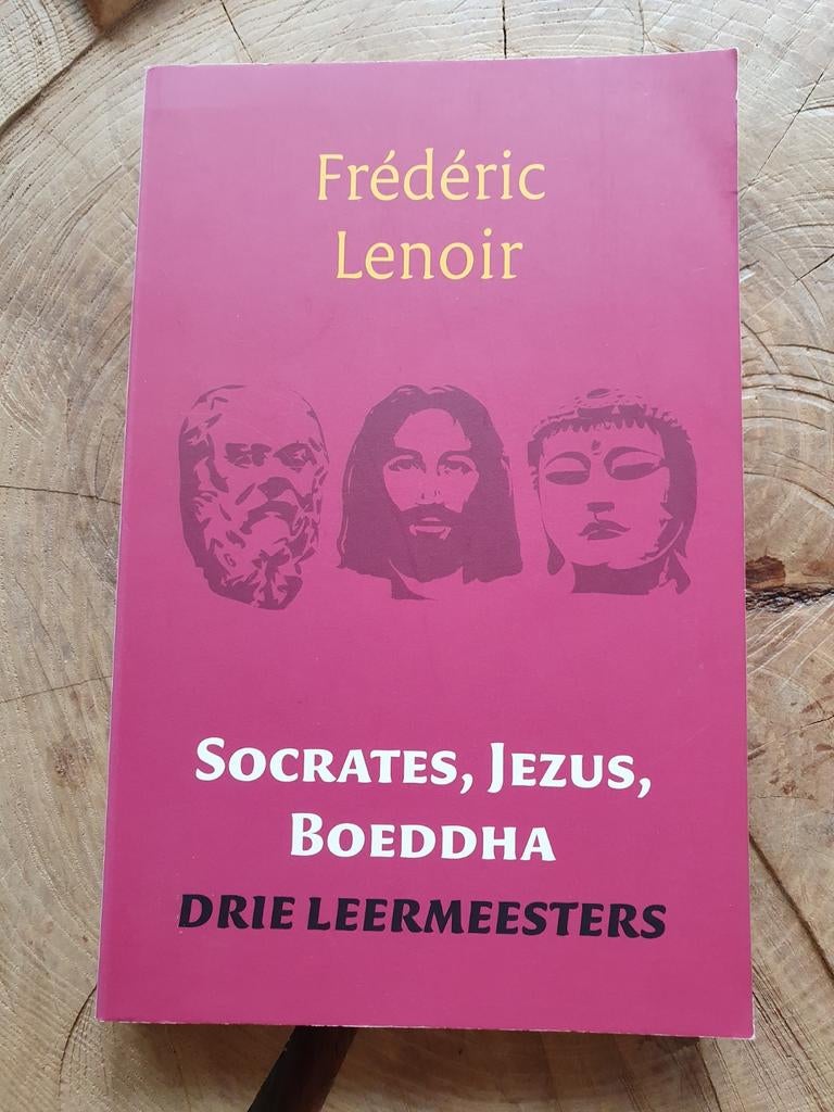 Frédéric Lenoir - Socrates, Jezus, Boeddha drie leermeesters, Boeken, Ophalen of Verzenden, Zo goed als nieuw, Frédéric Lenoir