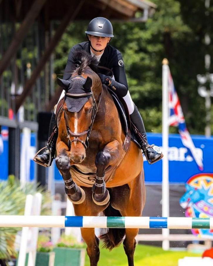 3 jonge springpaarden te koop (3 + 4 jaar)| goede afstamming, Dieren en Toebehoren, Paarden, Meerdere dieren, Onbeleerd, 160 tot 165 cm