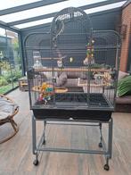 Grote Vogelkooi met standaard, zware kwaliteit, Ophalen, Zo goed als nieuw, Metaal, Vogelkooi