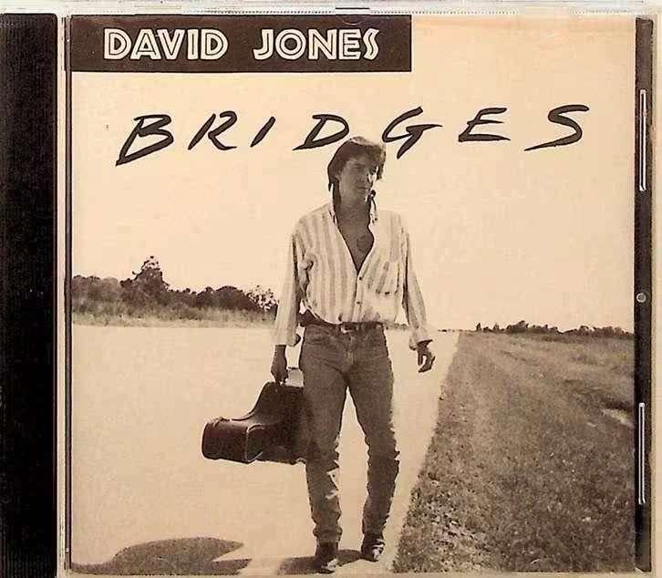 CD David Jones - Bridges , LRCD 1039/2, Ophalen of Verzenden, Zo goed als nieuw, Overige genres