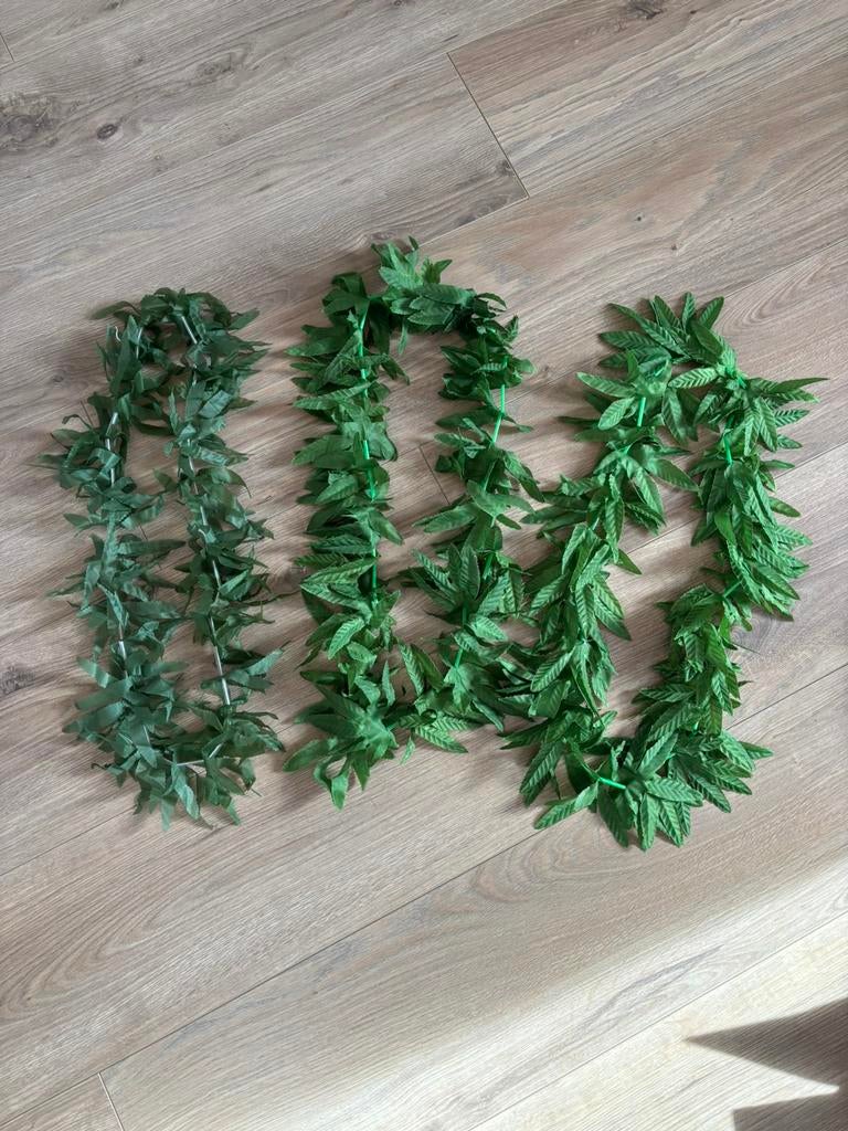 Diverse Jamaica carnaval/ verkleedspullen /wiet /BobMarley, Ophalen of Verzenden, Zo goed als nieuw, Carnaval, Accessoires