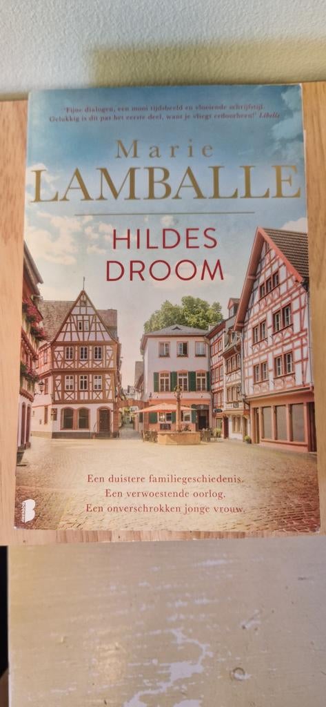 Complete Hilde-serie van Marie Lamballe (3 boeken), Ophalen of Verzenden, Gelezen, Marie Lamballe