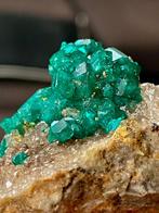 Dioptaas, Verzamelen, Ophalen of Verzenden