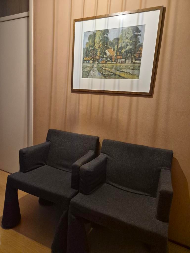 Moooi Wander designer stoelen - 2 stuks, Huis en Inrichting, Stoelen, Gebruikt, Twee, Stof, Grijs, Ophalen