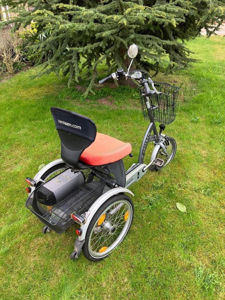 Van Raam Driewielfiets Easy Gomet ondersteuning/scootmobiel, Ophalen