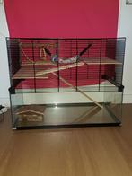 Hamster kooi  (814), Kooi, Hamster, 75 tot 110 cm, Ophalen