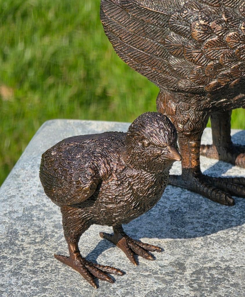 KIP MET KUIKENS / Bronzen tuinbeeld / HEN, Dierenbeeld, Nieuw, Info@huisentuindecoratiemarie.nl, Huis en tuin decoratie marie