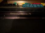 lowrey orgel, Muziek en Instrumenten, Orgels, Ophalen, Gebruikt, 2 klavieren, Orgel