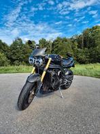 Triumph Speed Triple, Particulier