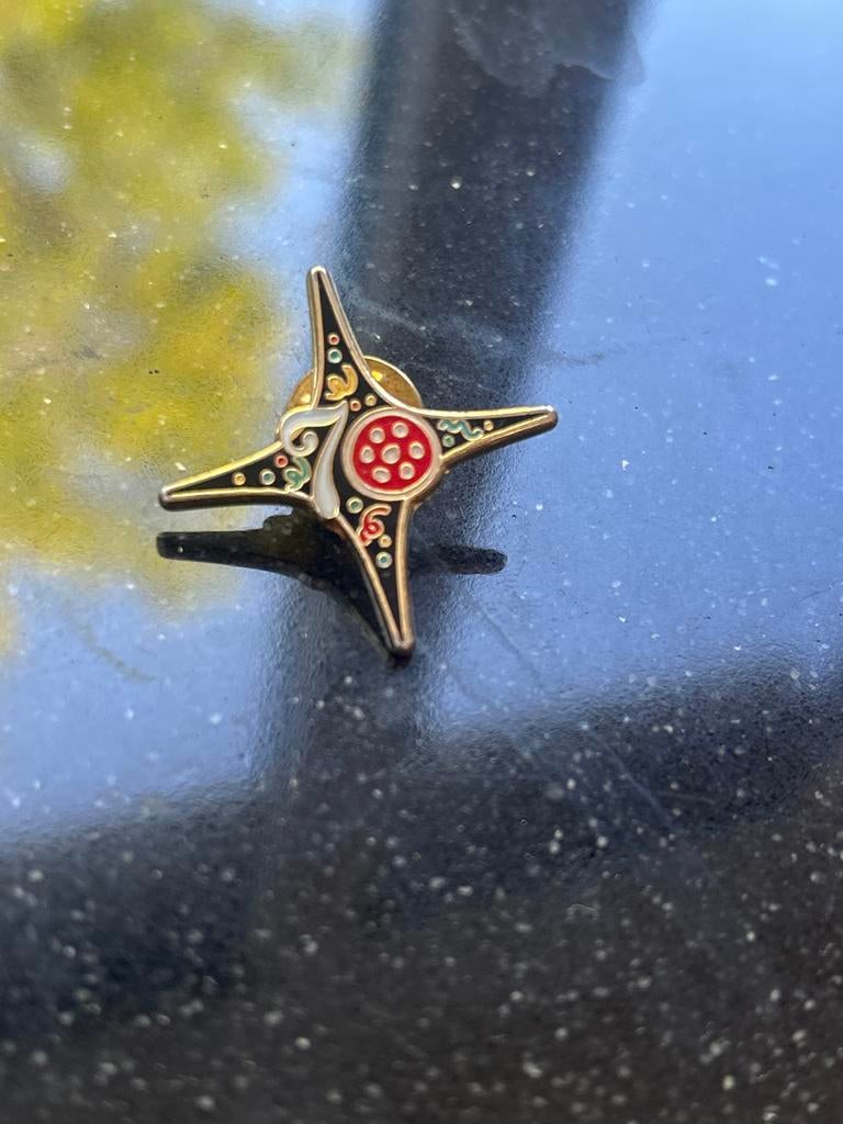 Efteling Pin 70 Jaar Jubileum, Ophalen of Verzenden, Zo goed als nieuw, Button of Speldje