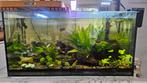Aquarium 200 liter met vissen, Ophalen, Gevuld zoetwateraquarium