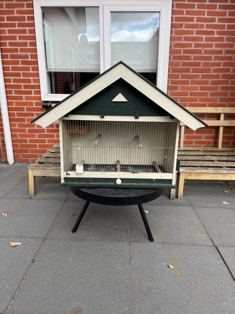 Vogelhuisje voor aan de muur, Dieren en Toebehoren, Vogels | Hokken en Kooien, Ophalen, Gebruikt, Hout, Volière