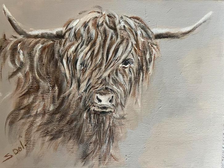 Schilderij Schotse Hooglander, Antiek en Kunst, Kunst | Schilderijen | Klassiek, Ophalen of Verzenden