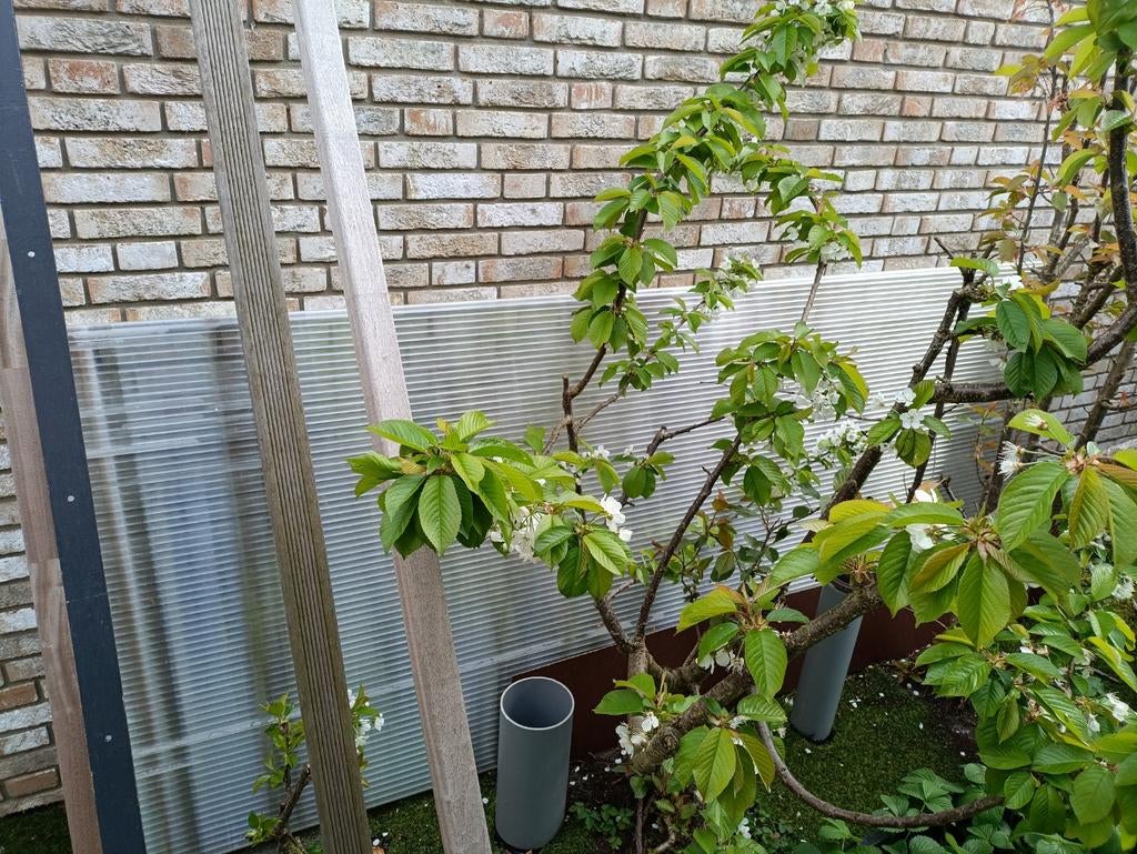 Plexiglas paneel 25 mm, Ophalen, Volle zon, Overige soorten, Minder dan 100 cm