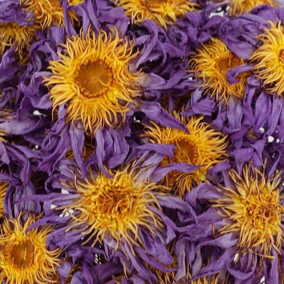 Lotusbloemen, Verzenden