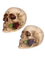 Schedel Woonaccessoire met Roos (Rood/Paars) skull, hobby, Ophalen of Verzenden, Nieuw, Fantasy
