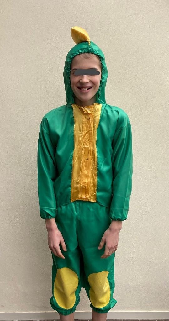 Draak, Kinderen en Baby's, Carnavalskleding en Verkleedspullen, Verzenden, Zo goed als nieuw, Jongen of Meisje