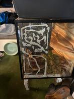 Terrarium, Ophalen, Gebruikt, Terrarium of Paludarium